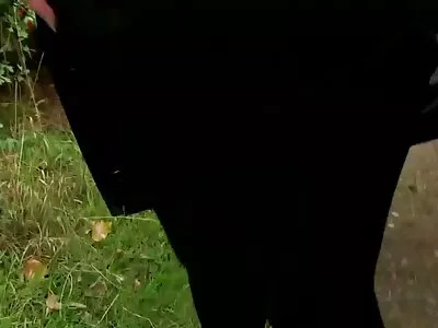Redhead ត្រូវបាន fucked hard doggy style