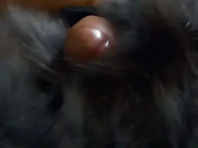 ប៍នតង់ដេងមានមុខរបស់នាង
